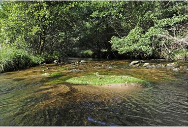 La Gioune - Crédit photo CD23