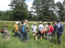 Sortie grand public - crédit photo PNRML